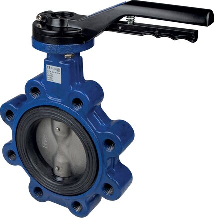 Exemplary representation: Flange mounted valve